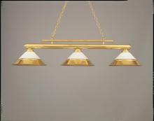 Hi-Lite MFG Co. H-613/89-D-01 OP - BILLIARD LIGHT