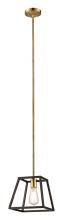 Trans Globe 10461 ROB - 1LT PENDANT-EDISON BULB FRAME-