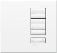 Lutron Electronics QSWE-5BRLI-SN - QSWE-WALLSTN 5BRL INS SN